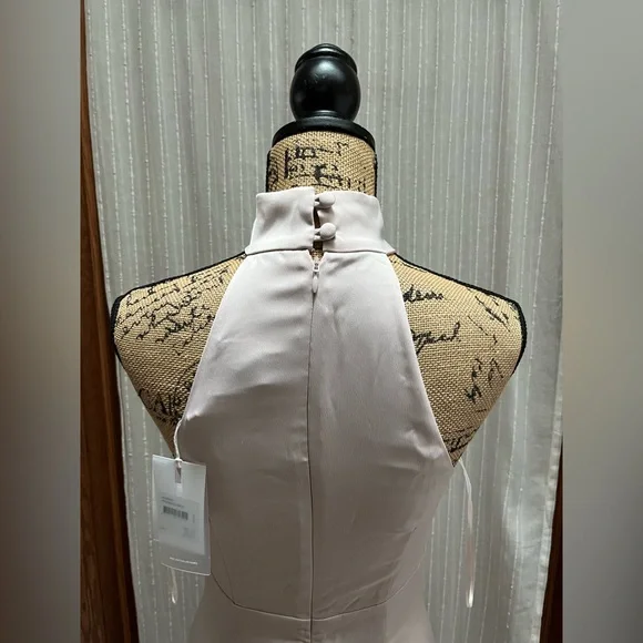 🔆C/MEO Collective Blush Satin Dress(light pink) - Picture 12 of 14